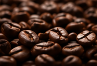 Specialty Coffee Blend
